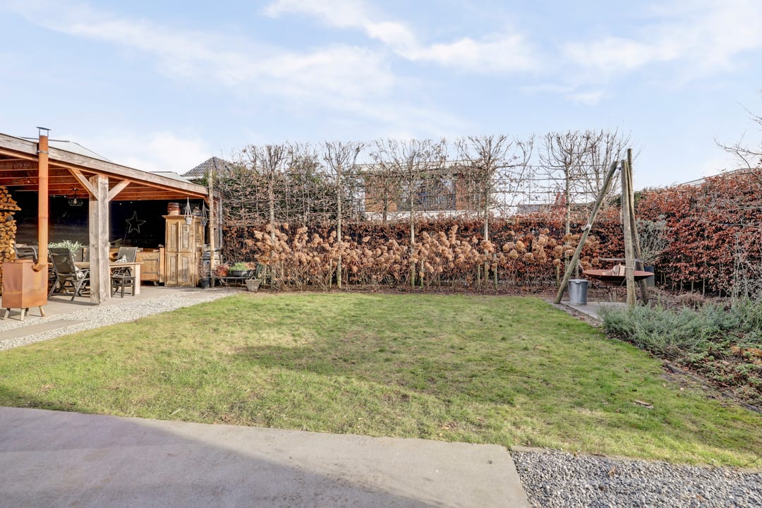 Foto 47 van Zilverkarper 4