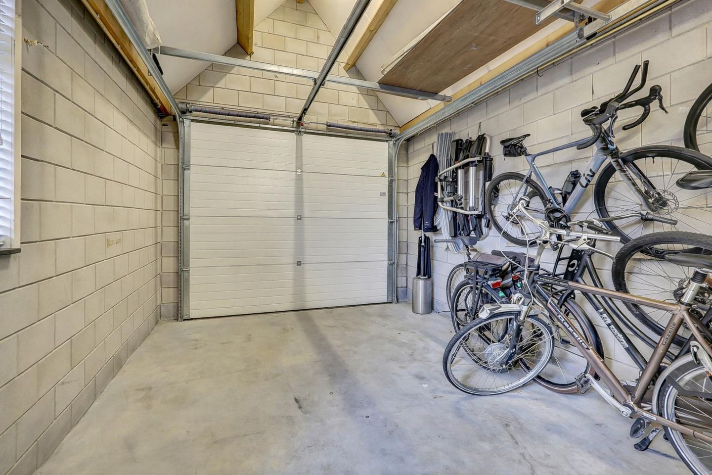 Foto 55 van Zilverkarper 4