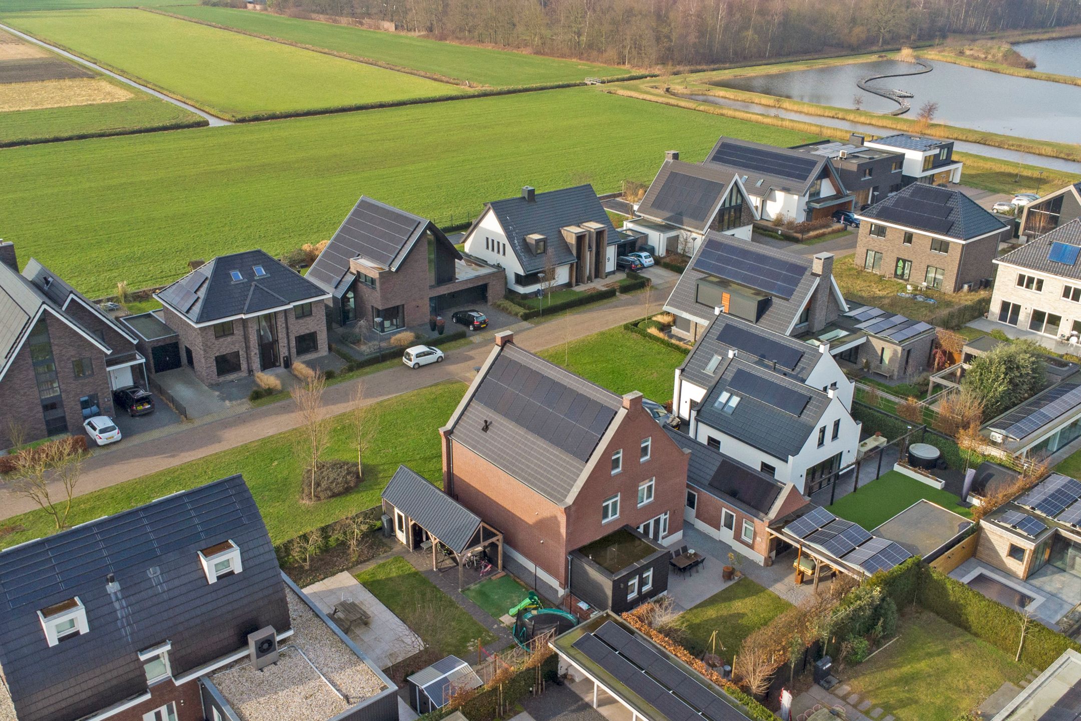 Foto 66 van Zilverkarper 4