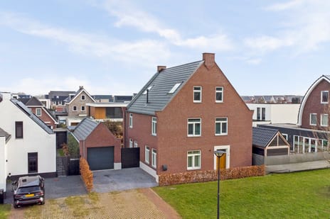 Zilverkarper thumbnail