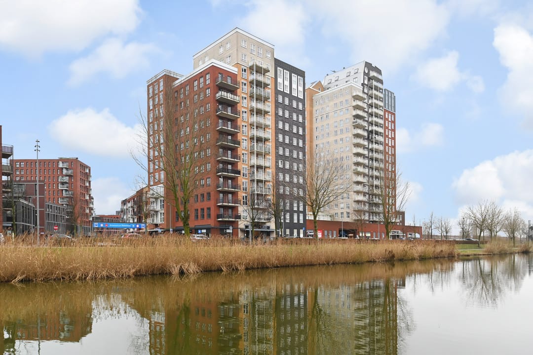 Foto 7 van Westerschelde 219