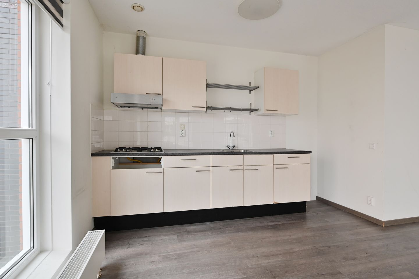 Foto 19 van Westerschelde 219