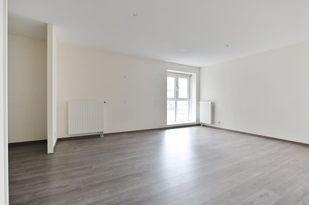 Foto 22 van Westerschelde 219