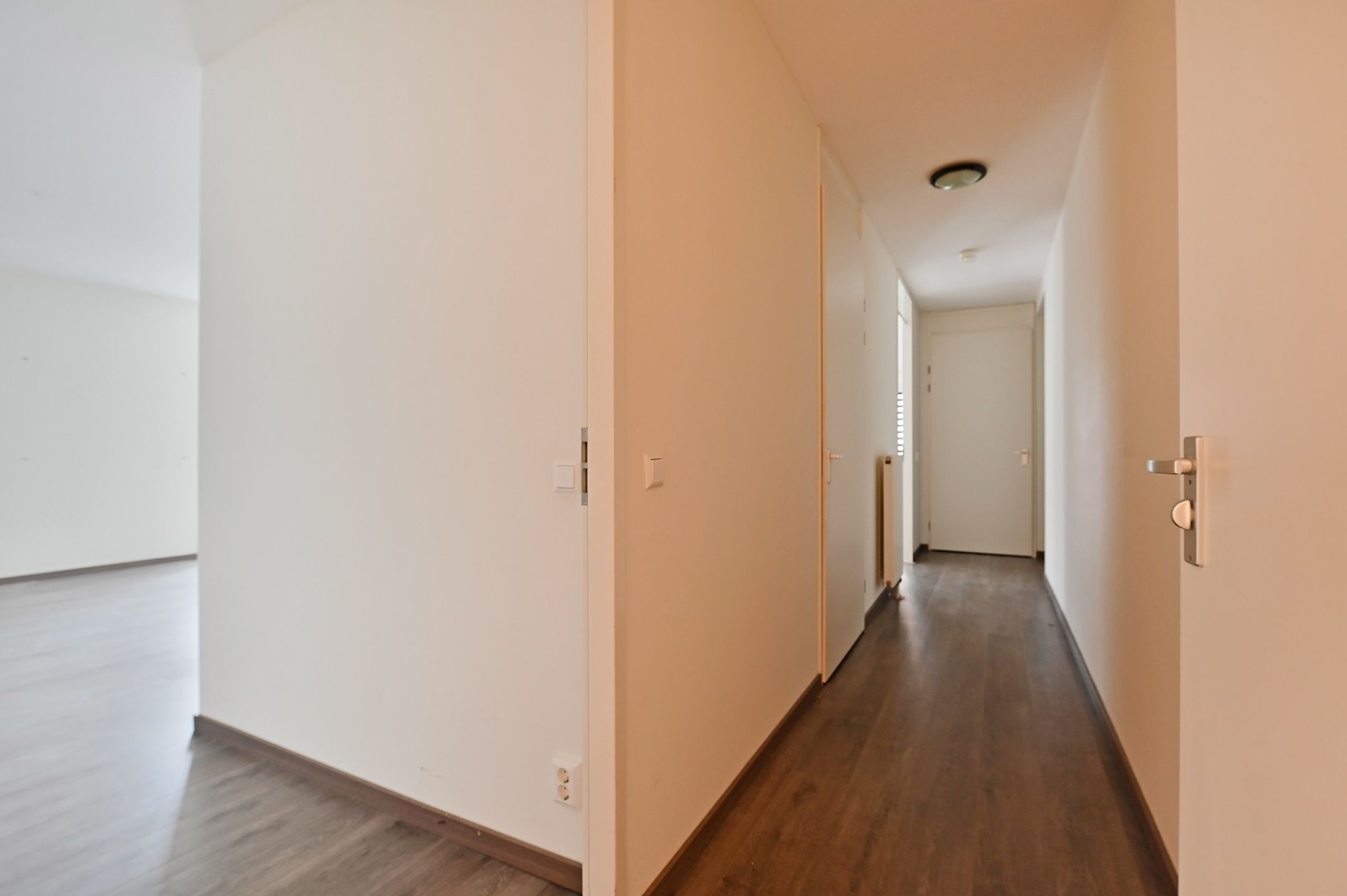 Foto 27 van Westerschelde 219