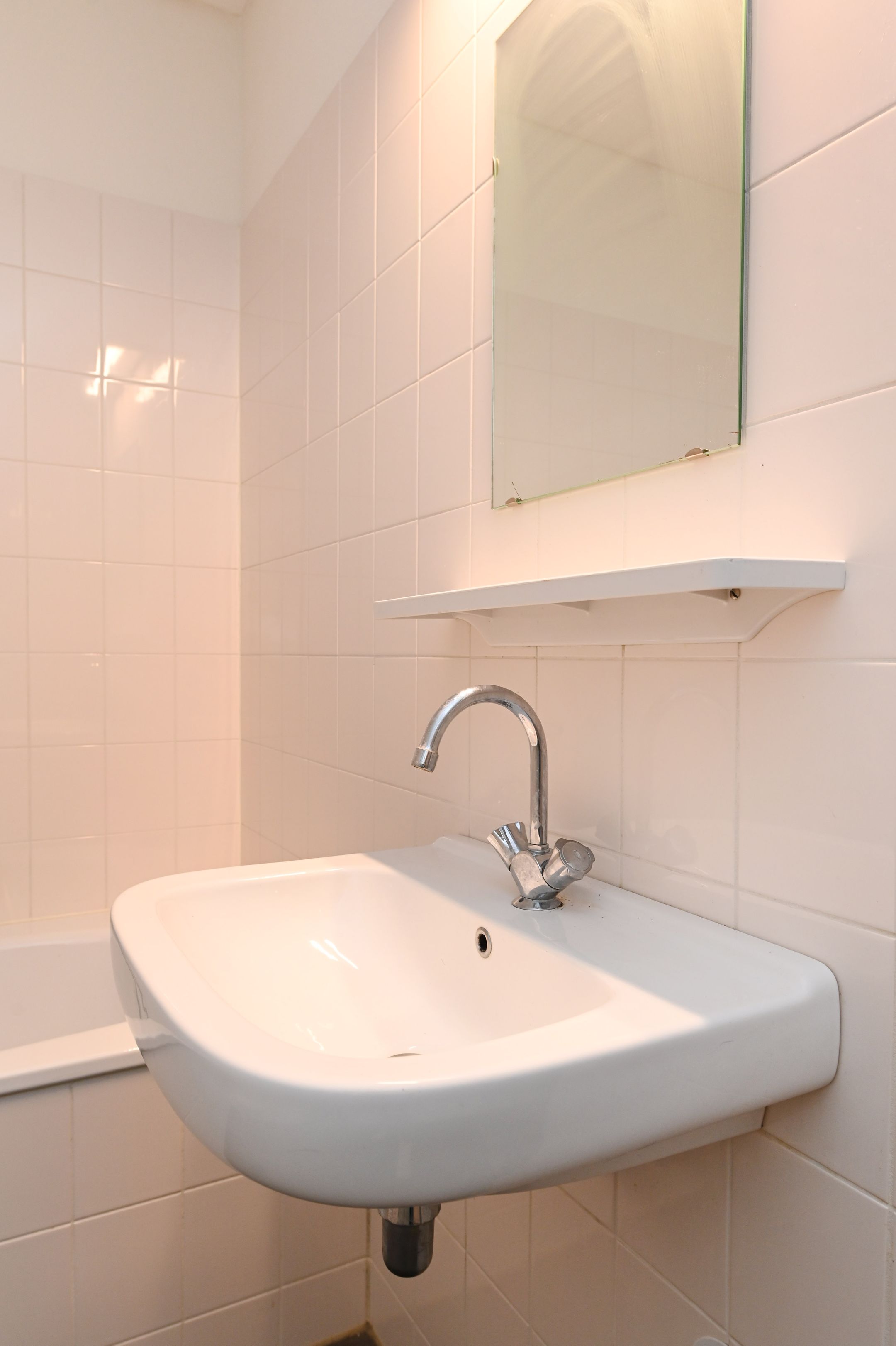 Foto 30 van Westerschelde 219