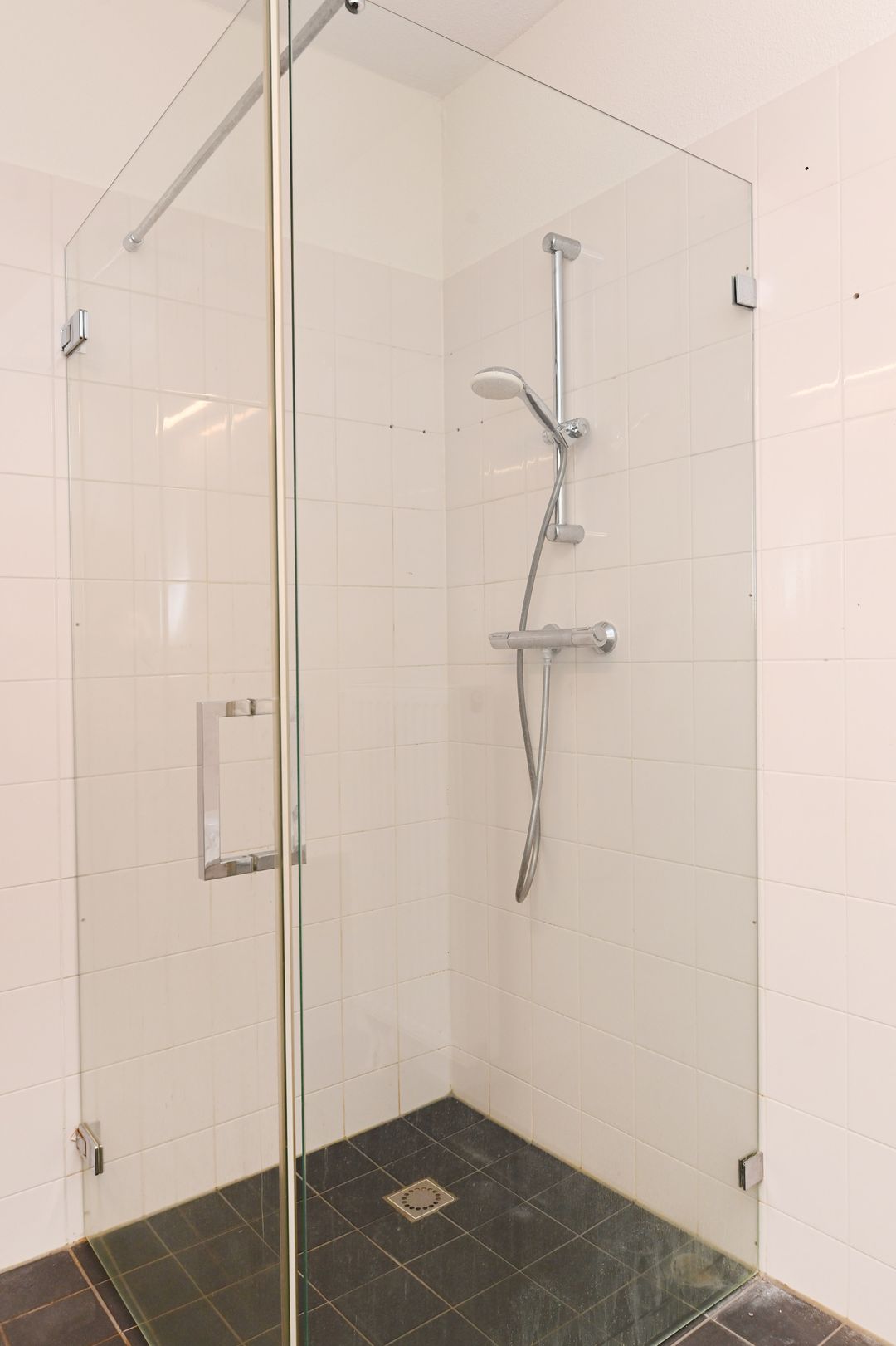 Foto 31 van Westerschelde 219