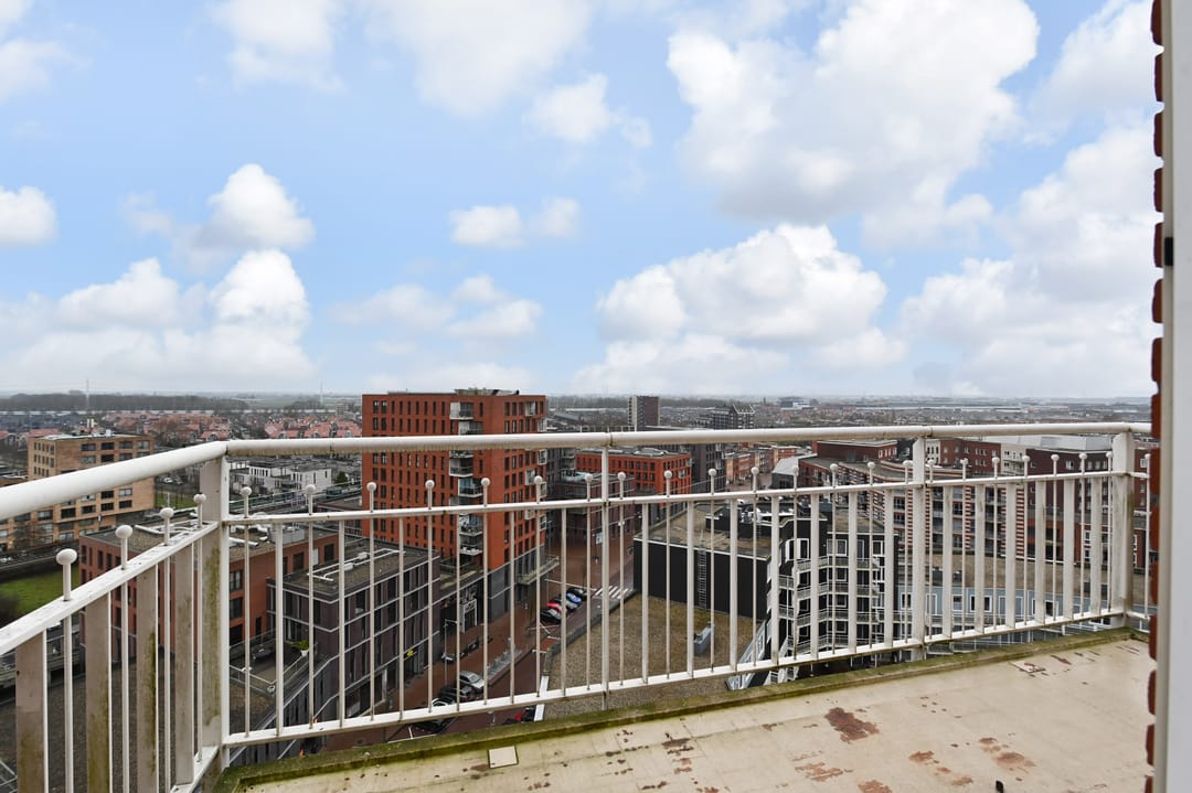 Foto 23 van Westerschelde 271