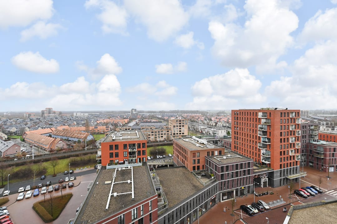 Foto 26 van Westerschelde 271