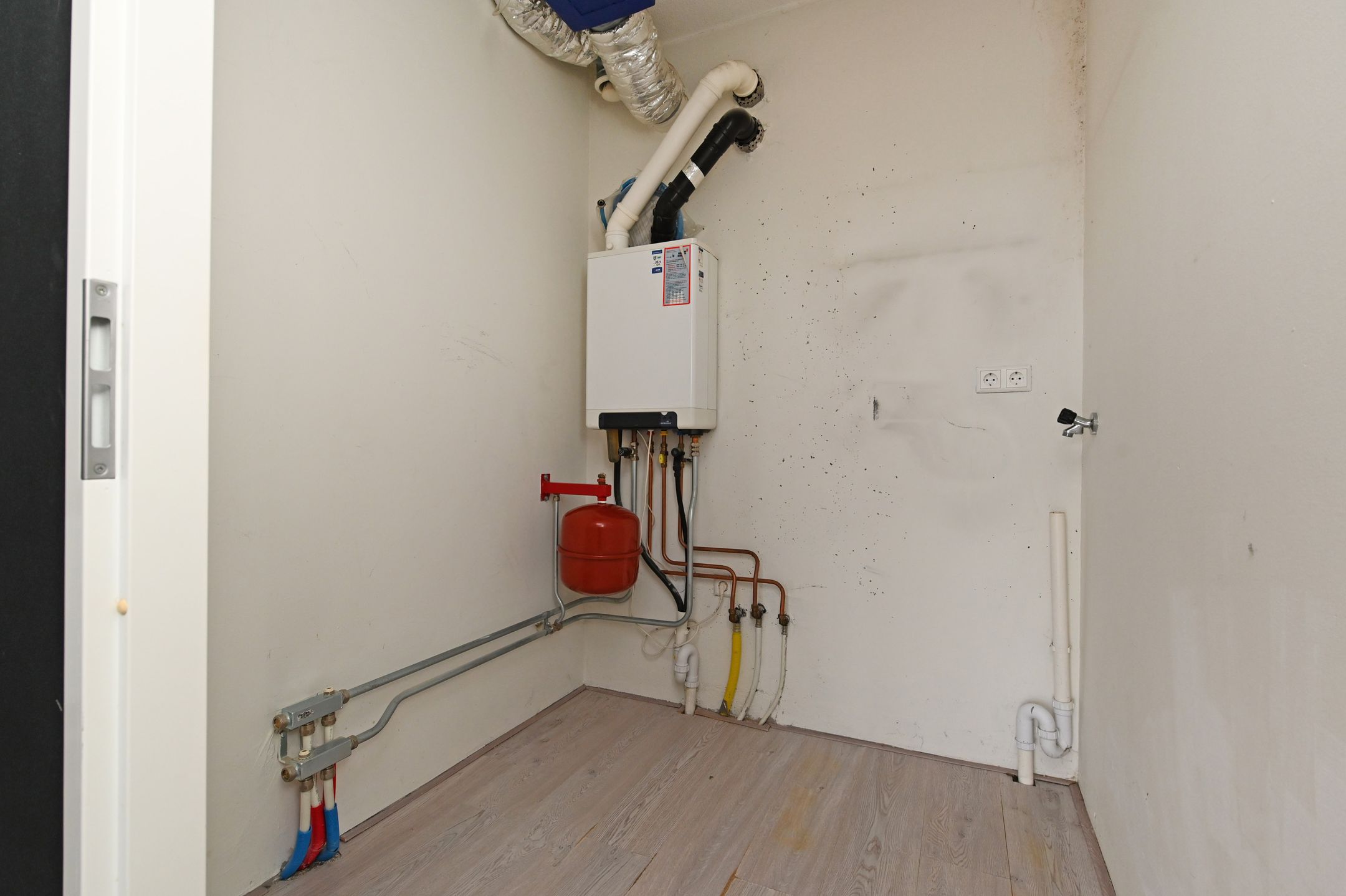 Foto 30 van Westerschelde 271