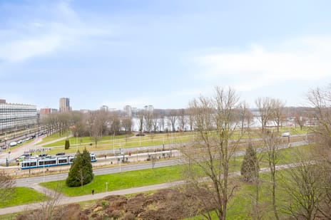 S. F. van Ossstraat 346 secondary image