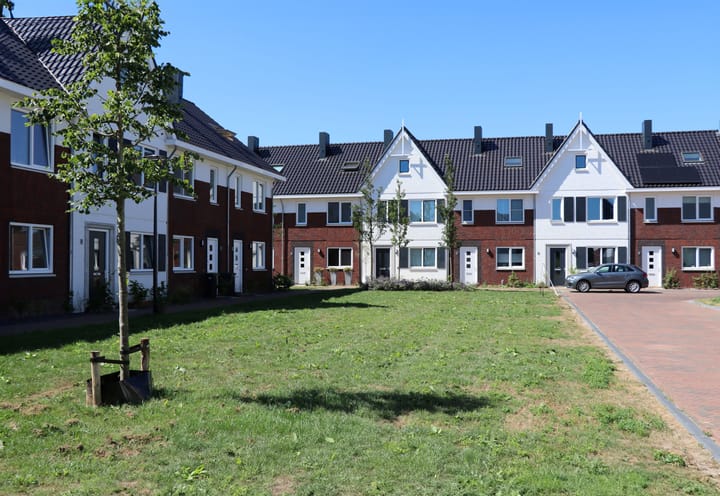 Foto 1 van Kamille 10