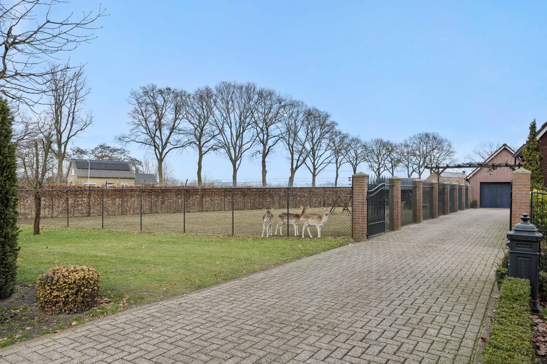 Foto 7 van Griendtsveenseweg 29