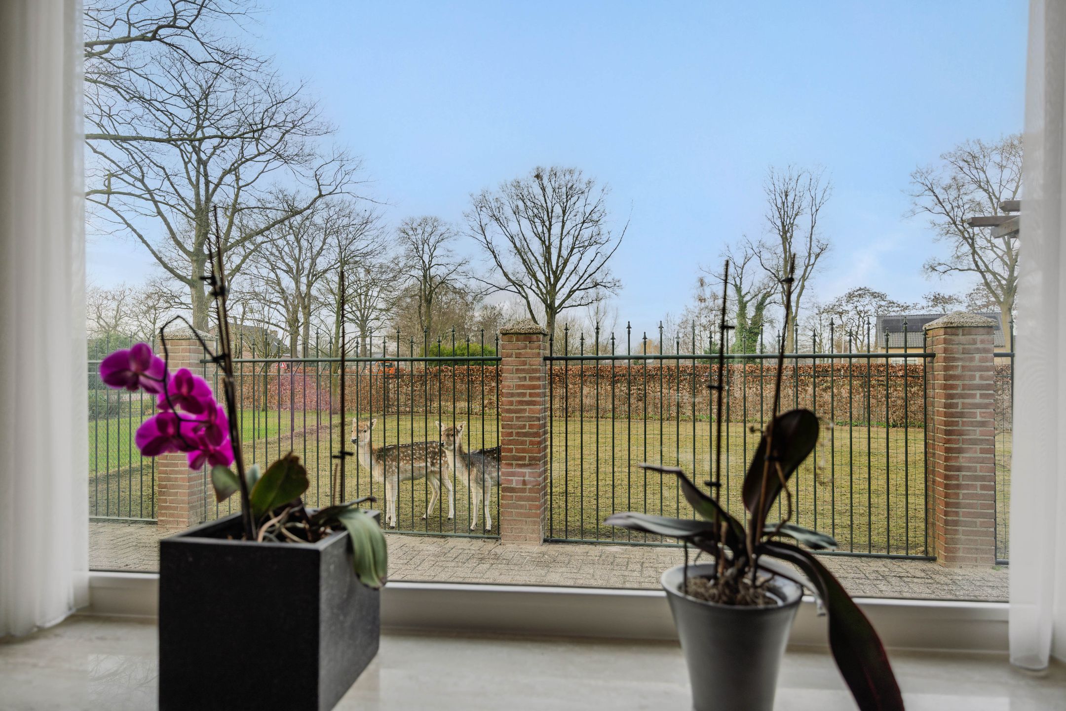 Foto 18 van Griendtsveenseweg 29