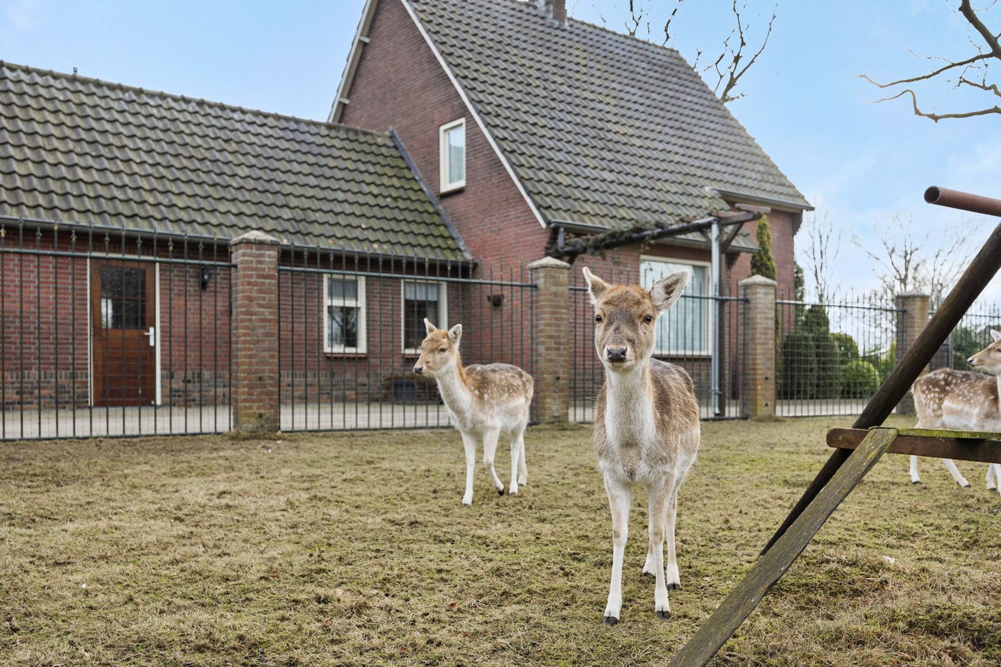 Foto 40 van Griendtsveenseweg 29