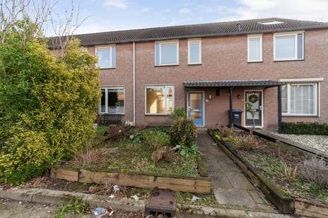 undefined main image