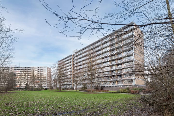 Seringenplantsoen 181 main image