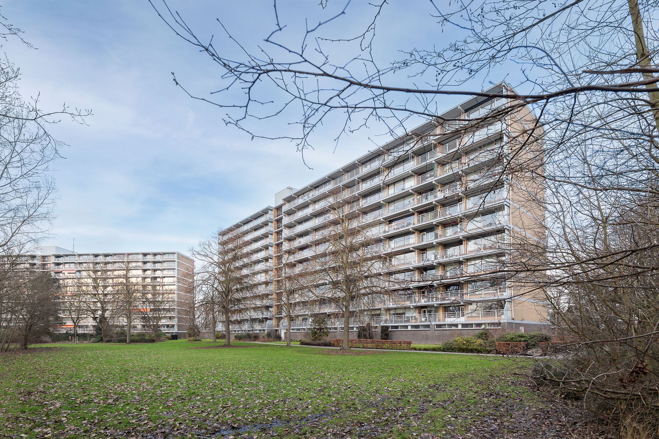 Seringenplantsoen 181 