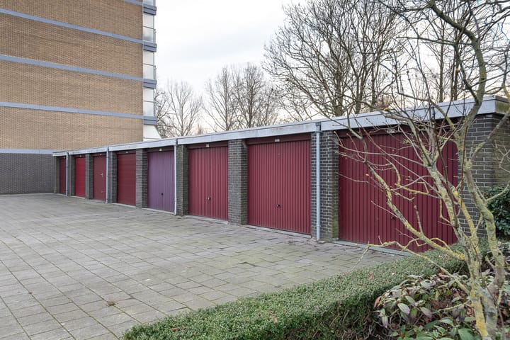 Photo 3 of Seringenplantsoen 181