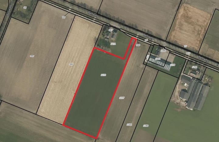 Beltweg, Siebengewald