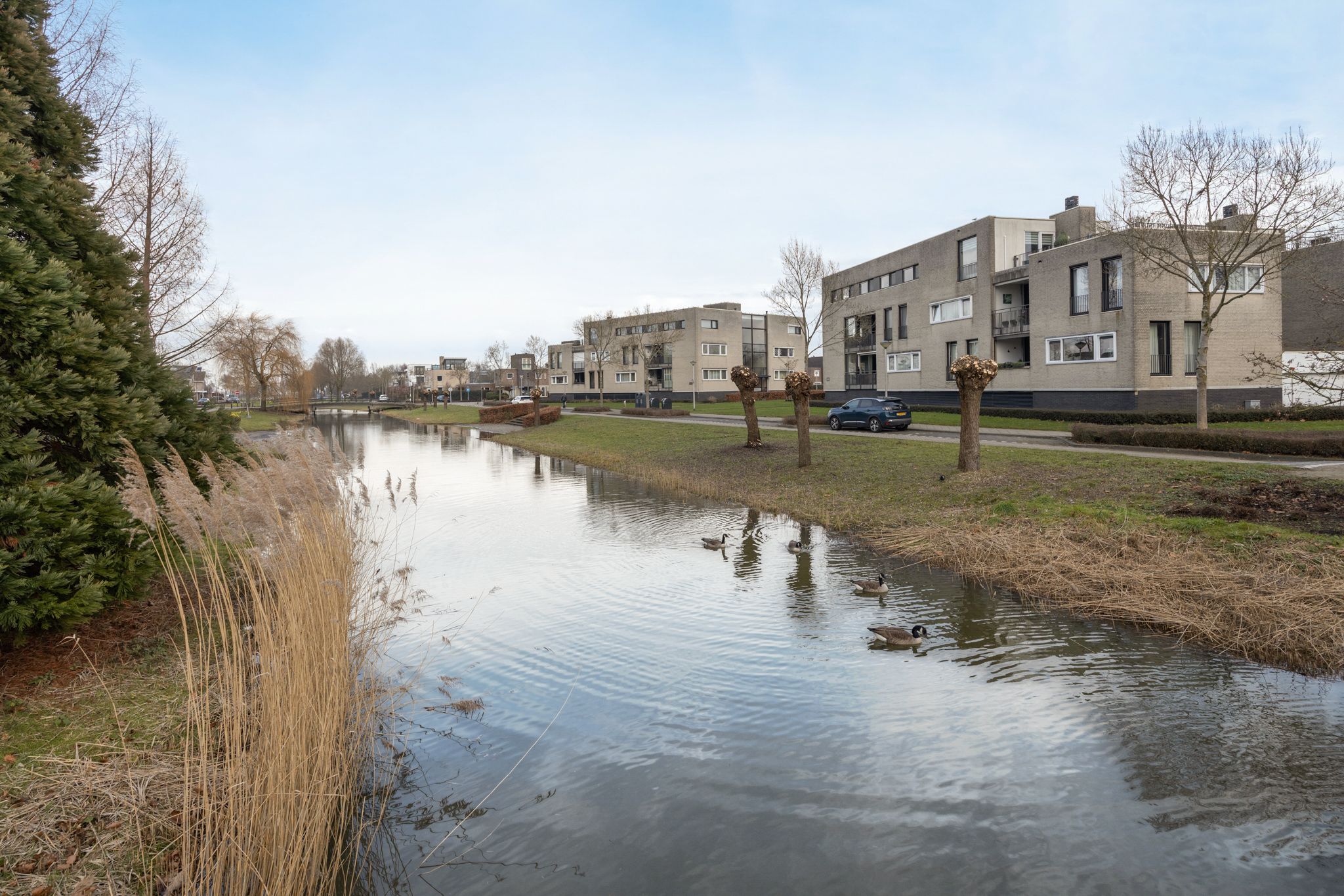 Foto 48 van Vinkenbroek 101