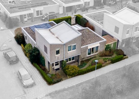 Duizendblad thumbnail