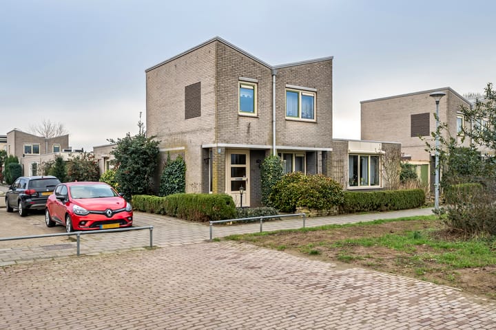 Foto 3 van Duizendblad 1