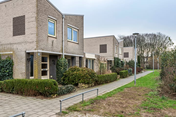 Foto 4 van Duizendblad 1