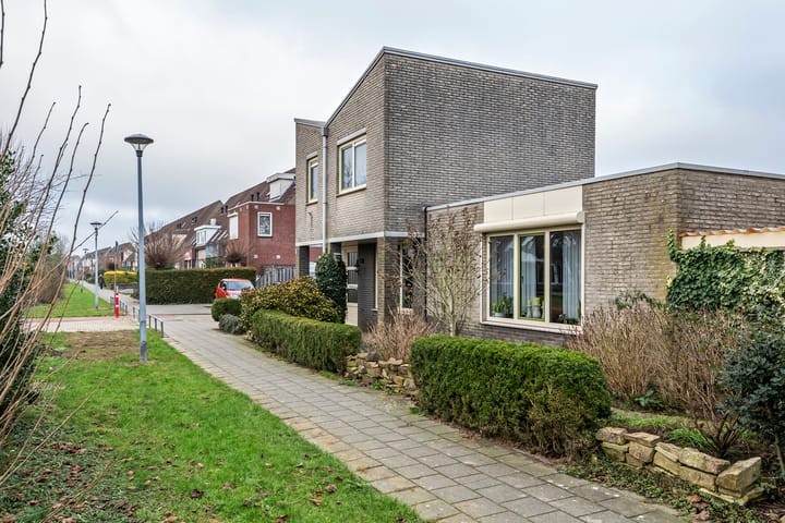 Foto 5 van Duizendblad 1