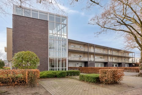 undefined main image