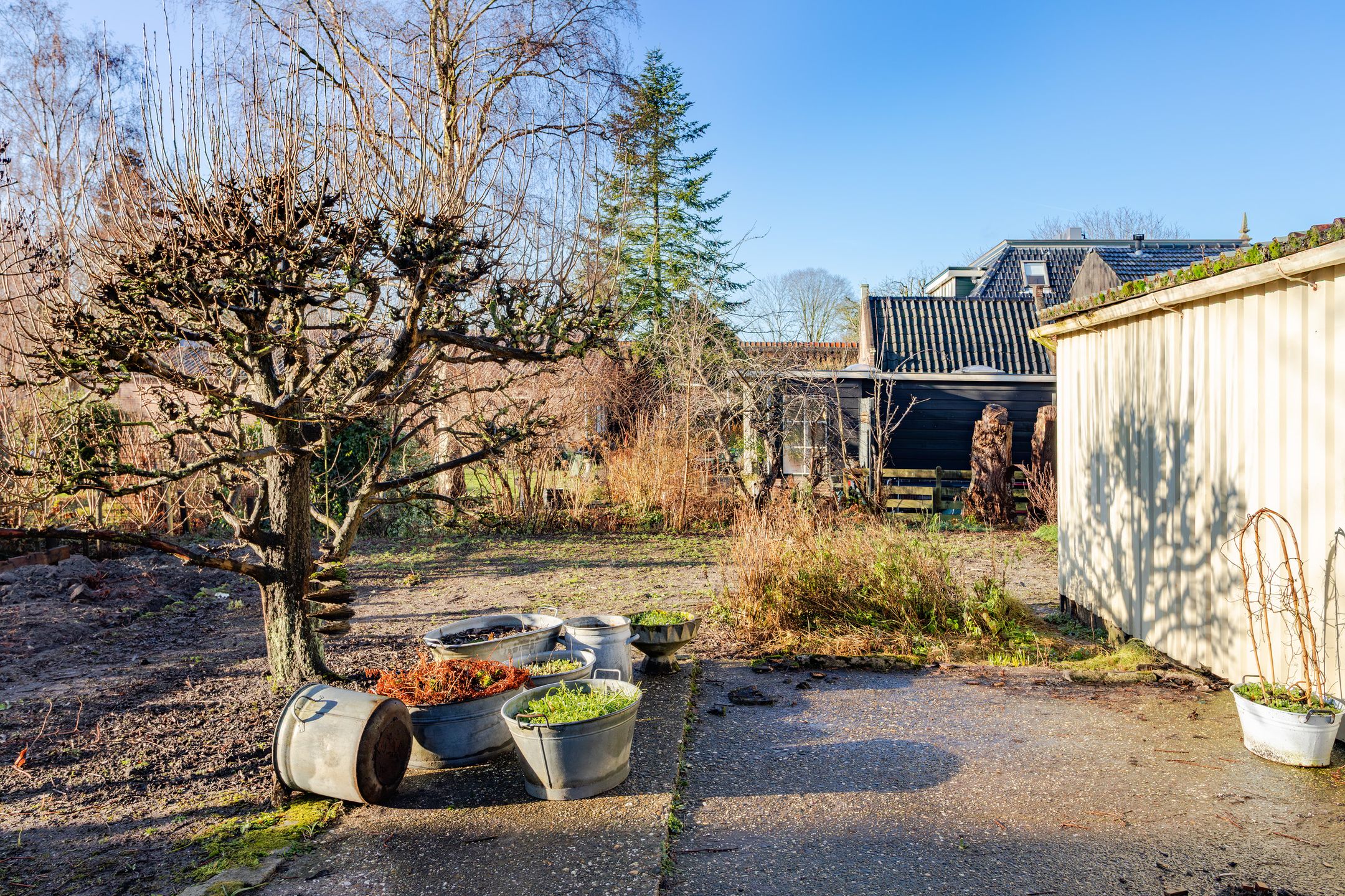 Photo 24 of Dorpsstraat 239