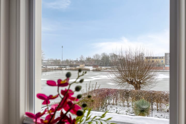 Foto 41 van Anna Blamanstraat 7