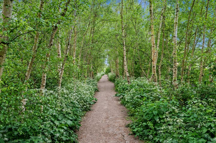 Foto 42 van Dijkshoornseweg 115-A