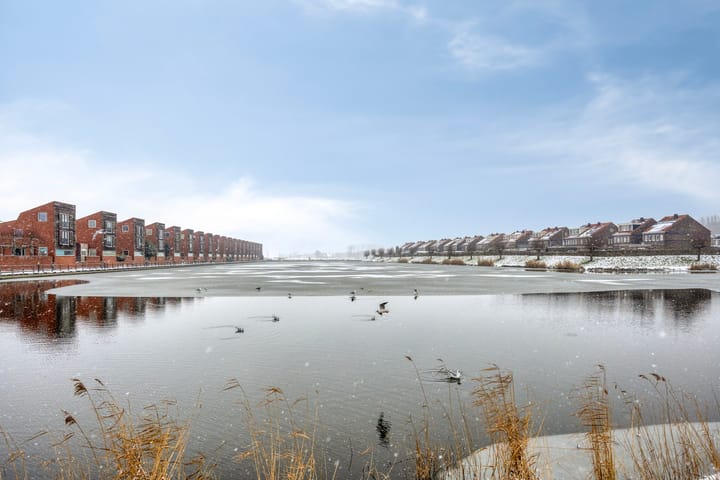 Foto 65 van Anna Blamanstraat 7