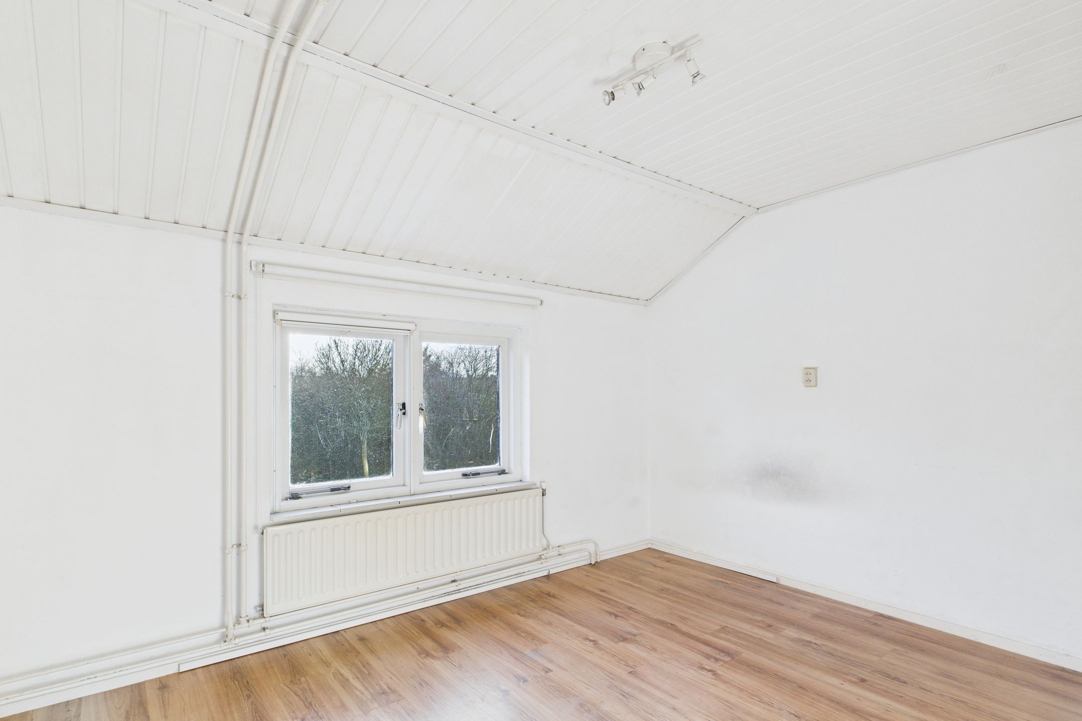 Foto 18 van Bosjesweg 63