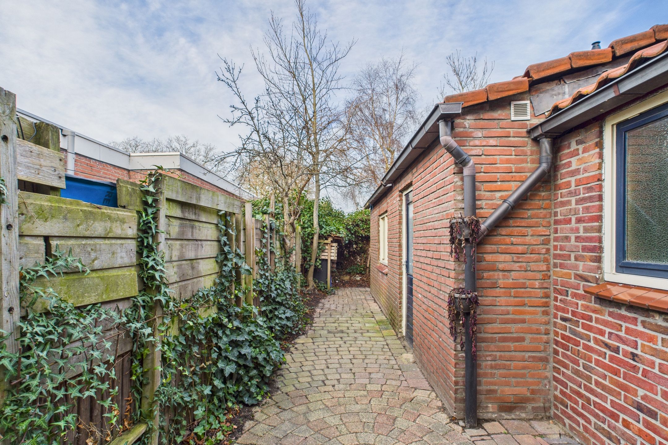 Foto 27 van Bosjesweg 63