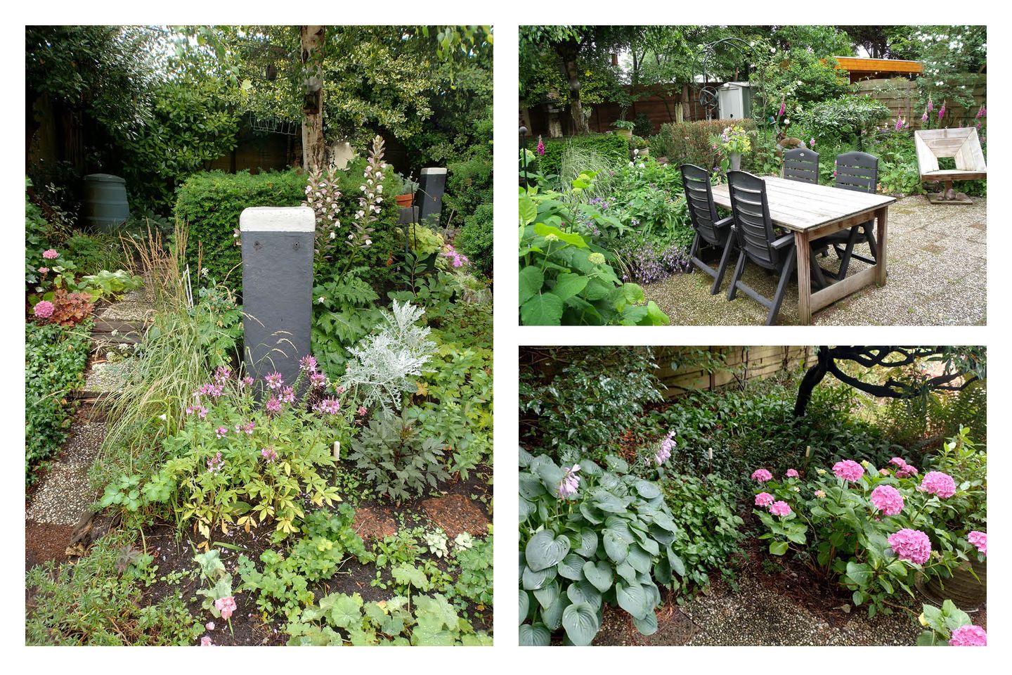 Photo 14 of Groenoord 386