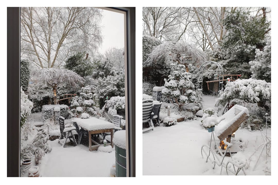 Photo 16 of Groenoord 386