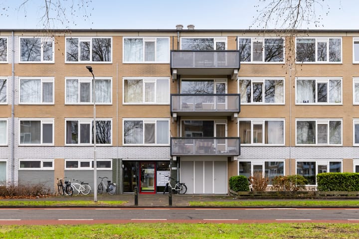 Televisiebaan 36 main image