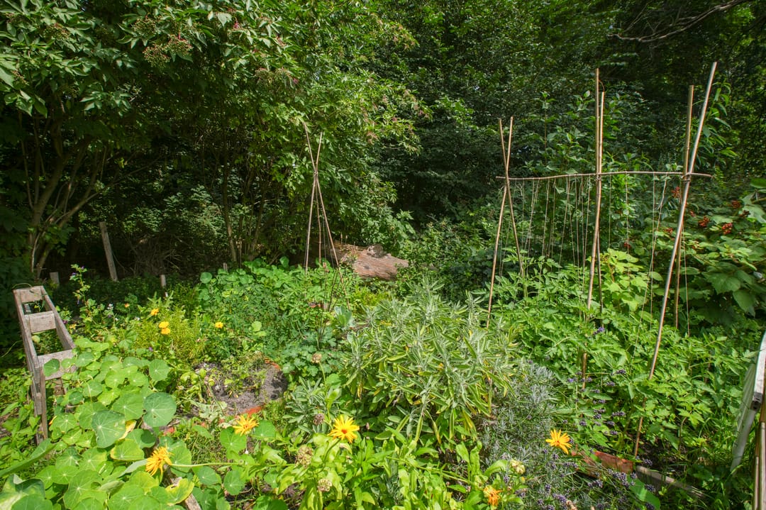 Foto 32 van Semarangstraat 34-D