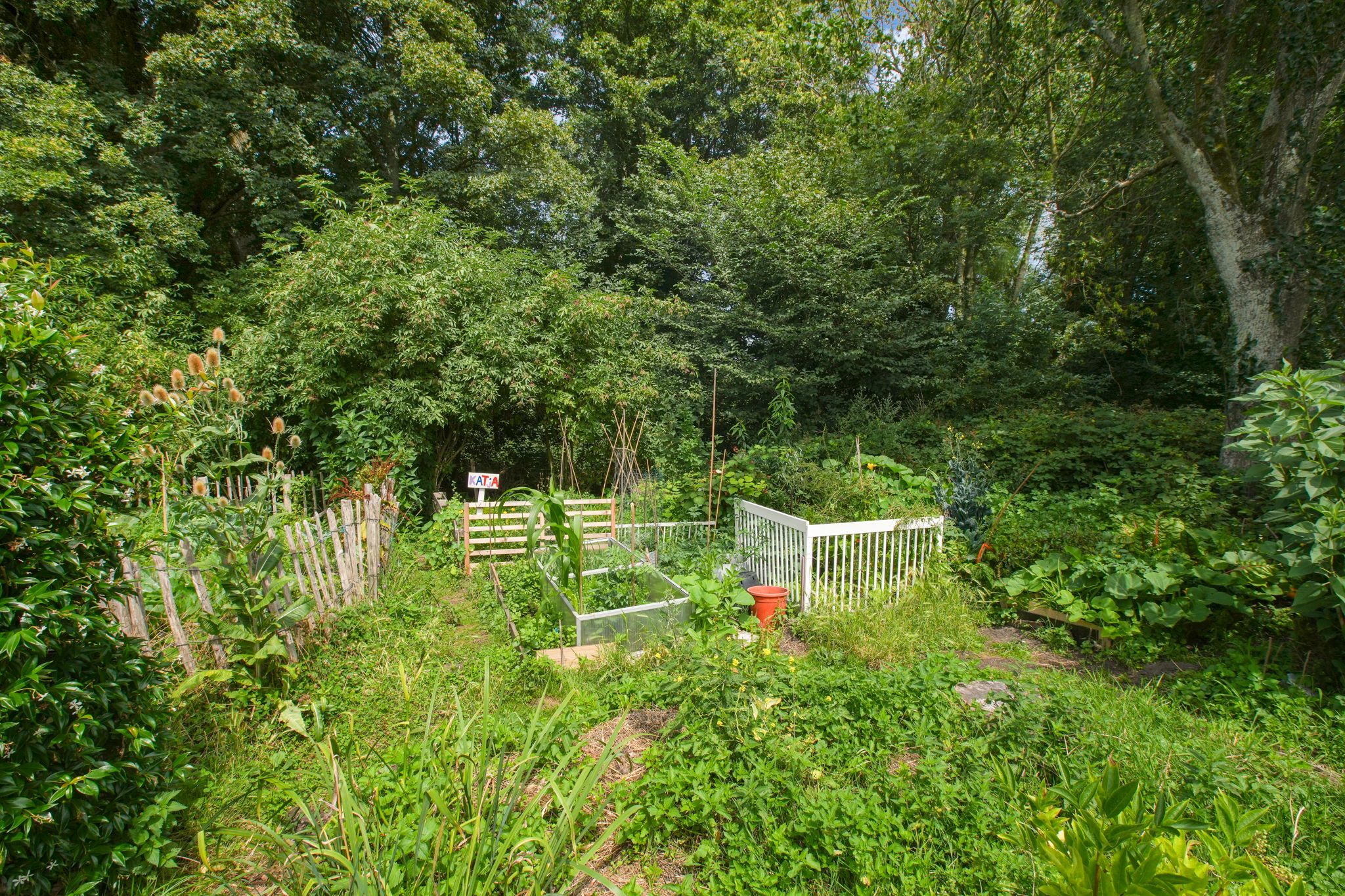 Foto 33 van Semarangstraat 34-D