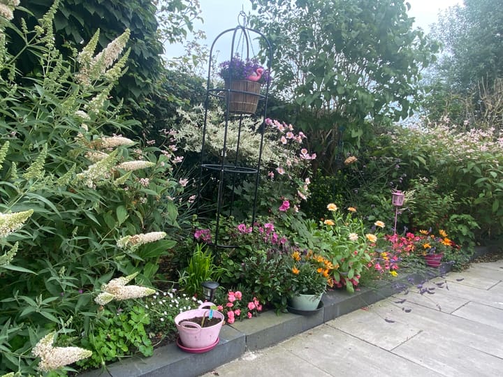 Foto 69 van Anna Blamanstraat 7