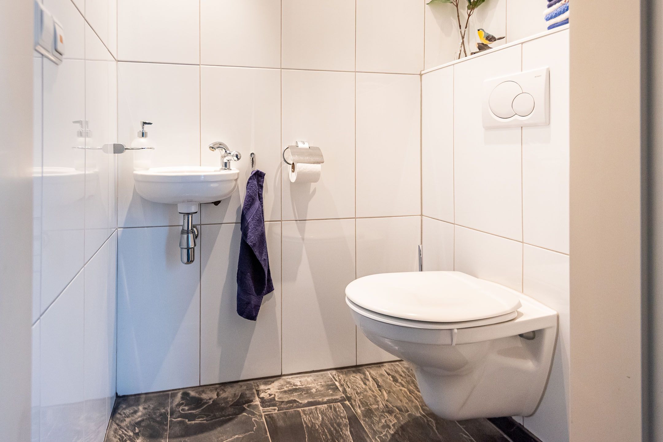 Foto 9 van Majoraan 3