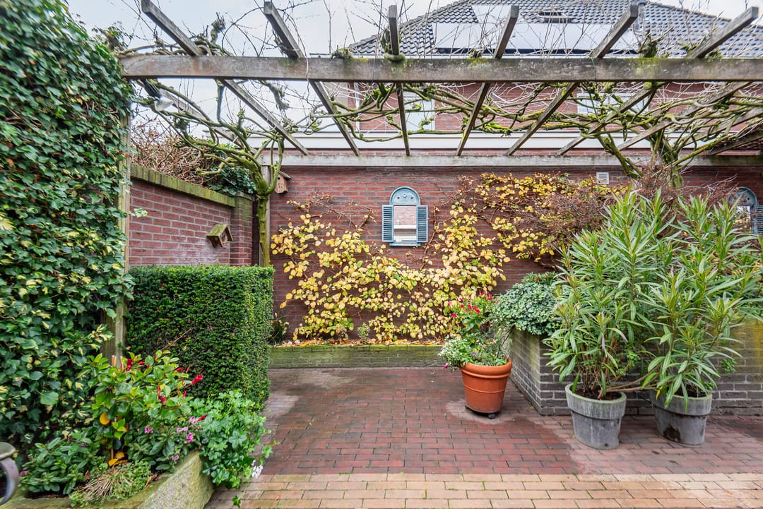 Foto 41 van Majoraan 3