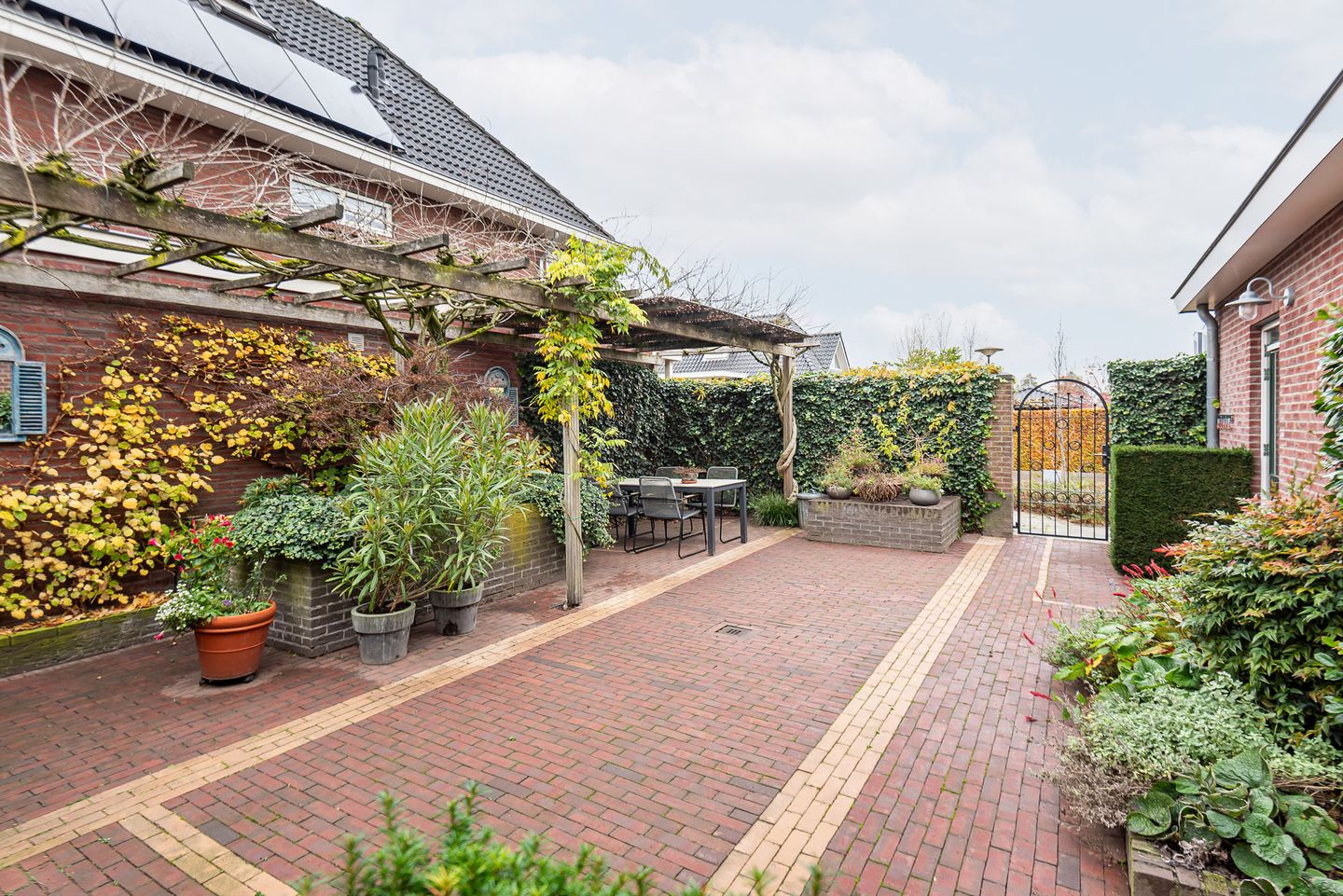 Foto 44 van Majoraan 3