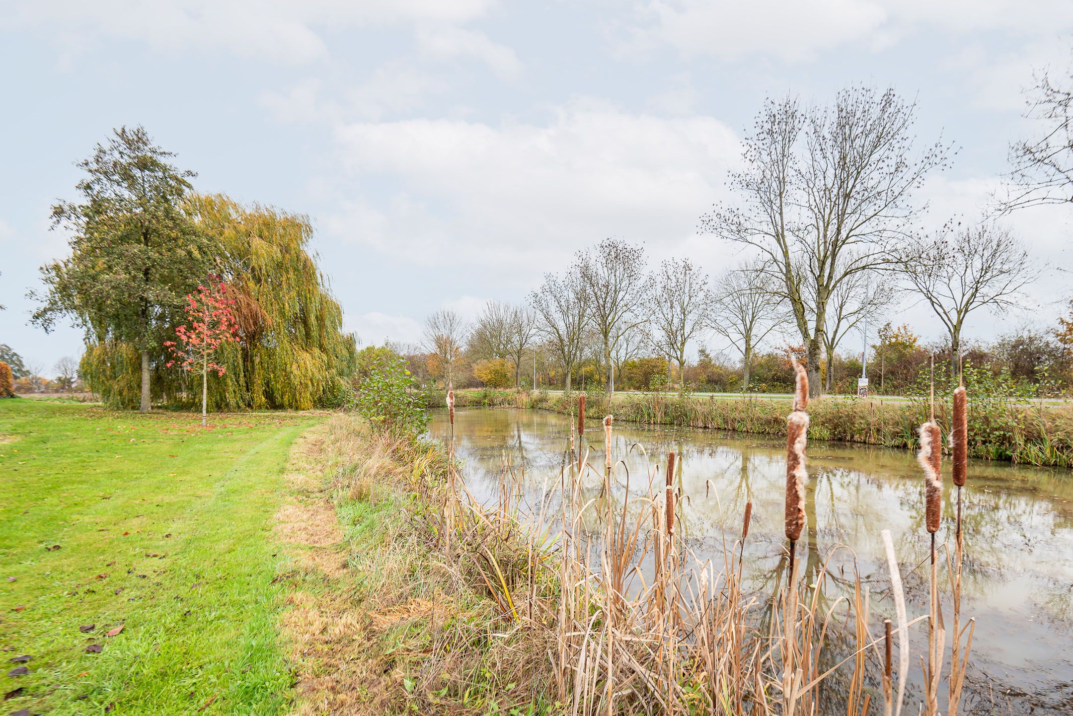 Foto 48 van Majoraan 3