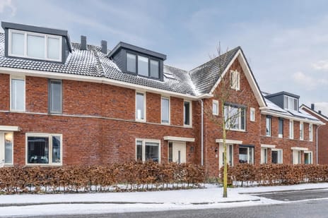 Witte Ring thumbnail