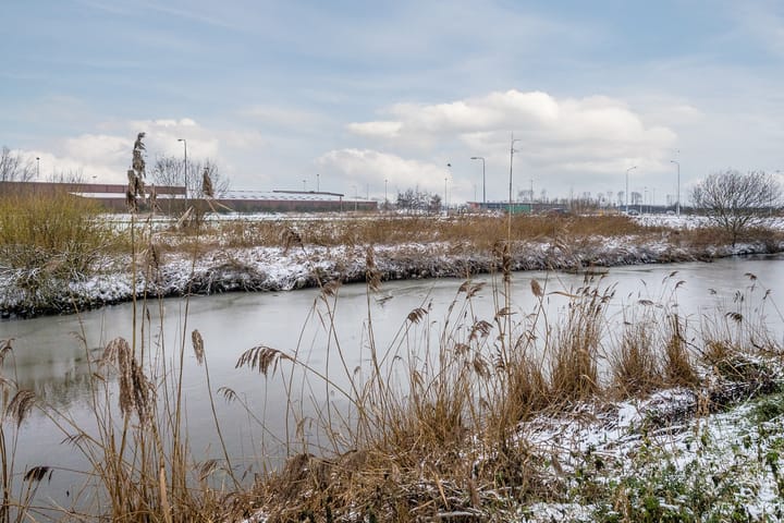 Foto 51 van Witte Ring 44