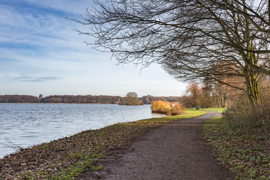 Foto 31 van Palestinastraat 57-A