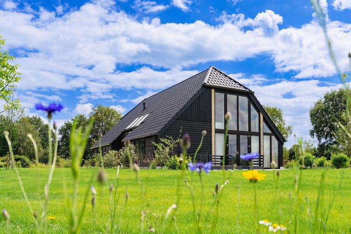 Lindrot te Den Ham (bouwkavels) main image