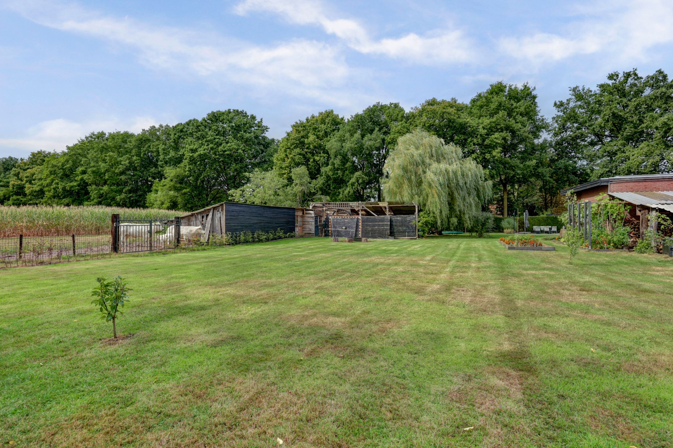 Foto 60 van van Ophovenlaan 61